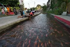 Bendung Lepen Mricanyouth aliran sungai kumuh berubah asri penuh ikan