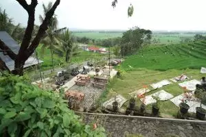 Kopi Ampirono, tempat nongkrong hits di tengah hamparan persawahan 