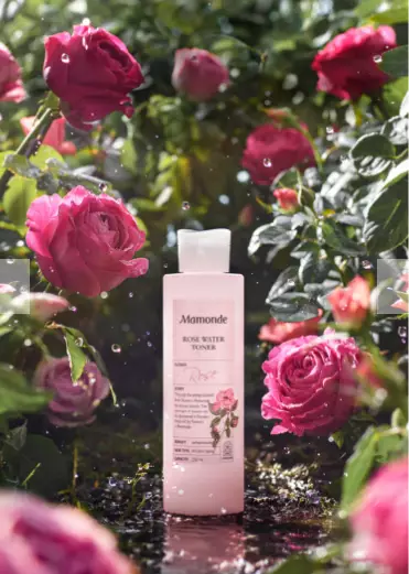 toner korea istimewa