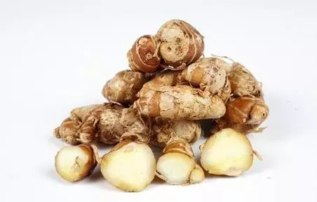 <img style= <img style=