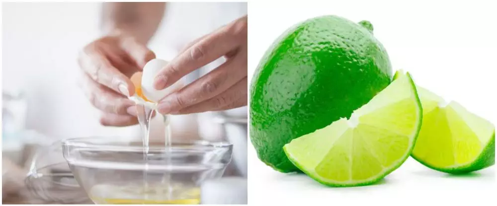 <img style= <img style=