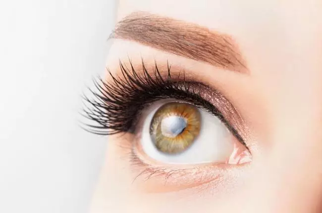 Cara membuat riasan mata no makeup look ala Korea freepik.com Cara membuat riasan mata no makeup look ala Korea freepik.com