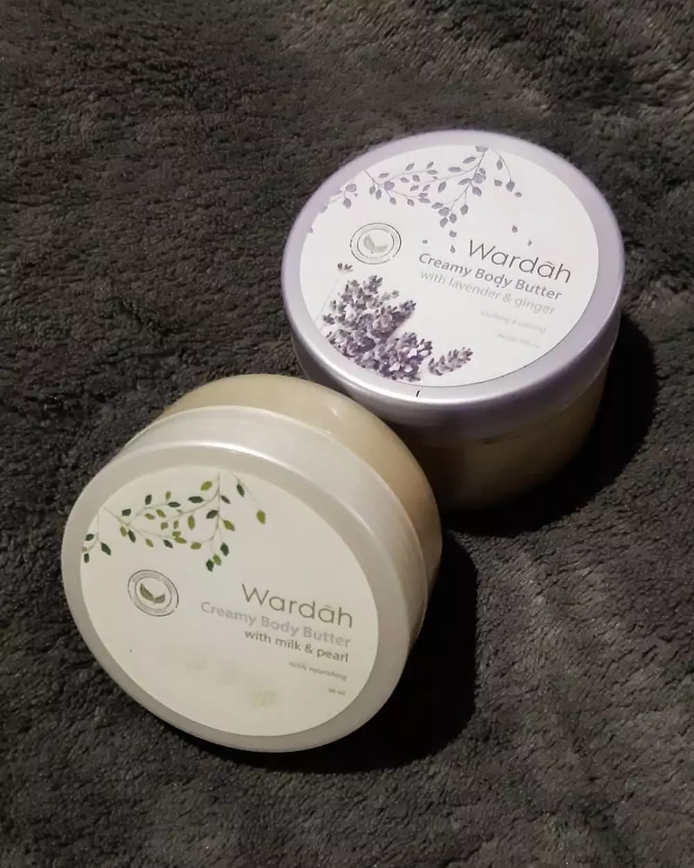 <img style= <img style=