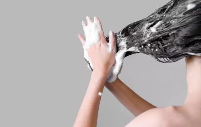 <img style= <img style=