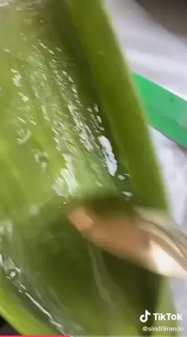 Trik simpel atasi kerusakan rambut Berbagai sumber