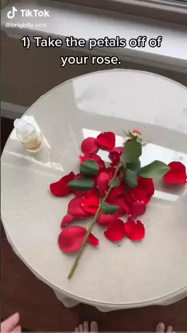 cara buat rose body oil Berbagai sumber