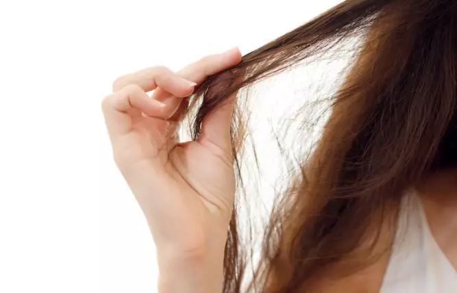 <img style= <img style=