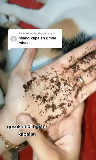 Tips hilangkan kapalan pada tangan cuma pakai 1 bahan dapur TikTok Tips hilangkan kapalan pada tangan cuma pakai 1 bahan dapur TikTok