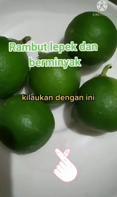 Tips atasi rambut berminyak pakai 1 jenis buah Berbagai sumber Tips atasi rambut berminyak pakai 1 jenis buah Berbagai sumber