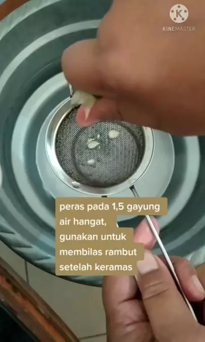 Tips atasi rambut berminyak pakai 1 jenis buah Berbagai sumber Tips atasi rambut berminyak pakai 1 jenis buah Berbagai sumber