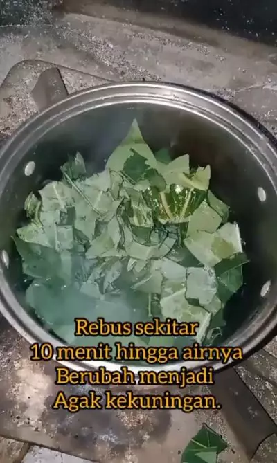 Trik menghitamkan rambut cuma pakai 1 bahan alami Berbagai sumber