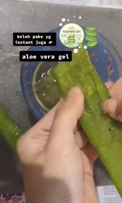 Trik melembutkan rambut pakai 2 bahan alami Berbagai sumber Trik melembutkan rambut pakai 2 bahan alami Berbagai sumber