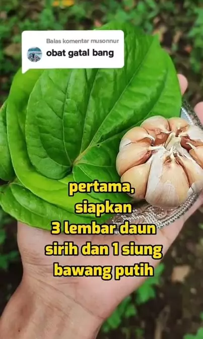 Cara mengatasi gatal-gatal pada kulit pakai 3 bahan alami Berbagai sumber Cara mengatasi gatal-gatal pada kulit pakai 3 bahan alami Berbagai sumber