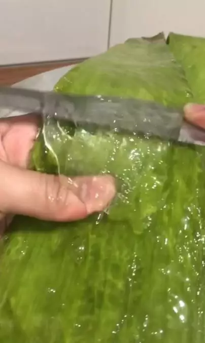 Trik menebalkan rambut secara alami pakai 2 bahan dapur Berbagai sumber