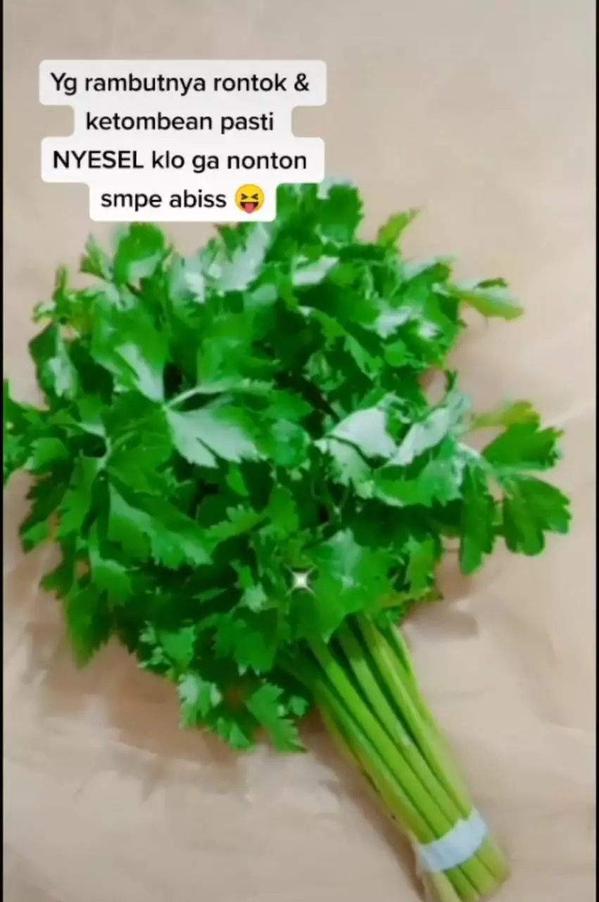 Cara membuat hair mist istimewa Cara membuat hair mist istimewa