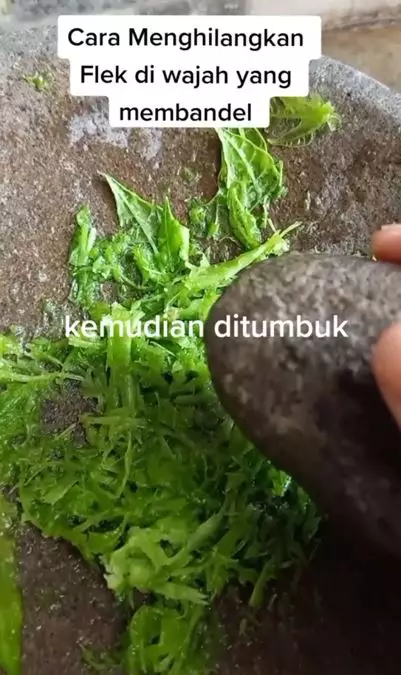 Cara memudarkan flek hitam pada wajah pakai 1 jenis daun Berbagai sumber