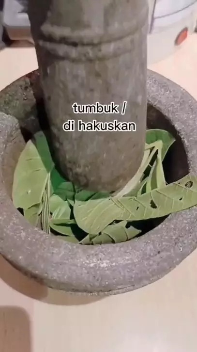 Trik membuat masker untuk atasi bintik hitam pakai 1 jenis daun Berbagai sumber