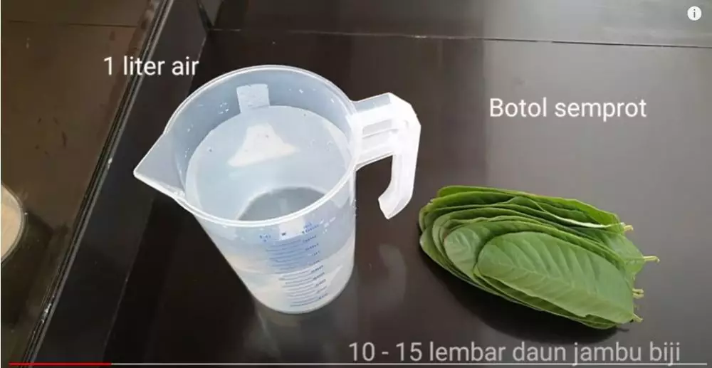 cara membuat hair tonic berbagai sumber