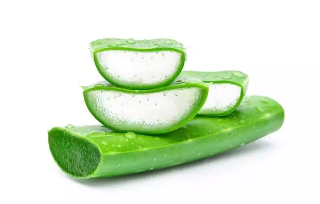 Cara menyuburkan rambut tipis dan mudah rontok pakai 2 bahan alami Berbagai sumber