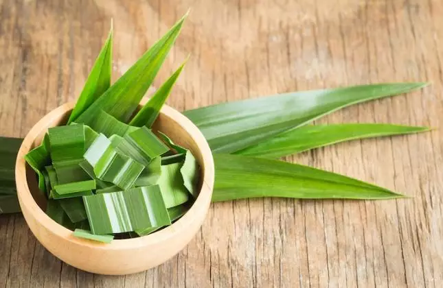 Trik menghilangkan komedo pakai masker dari 1 jenis daun Berbagai sumber