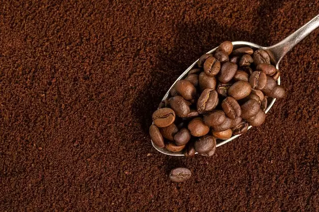 Komedo auto minggat © Instagram Komedo auto minggat © Instagram