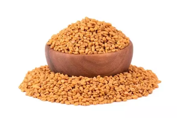 Trik menumbuhkan kembali rambut botak pakai 1 jenis biji-bijian Berbagai sumber