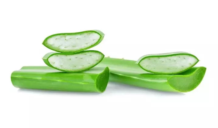 Trik melebatkan alis pakai 1 jenis tanaman herbal Berbagai sumber