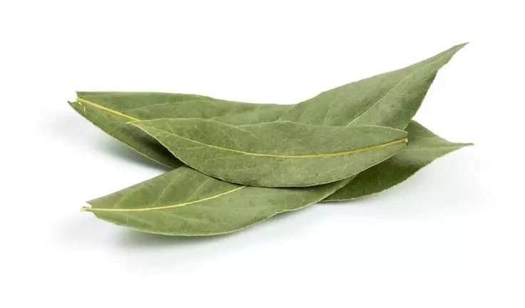 Cara membuat face mist untuk wajah breakout pakai 1 jenis daun Berbagai sumber