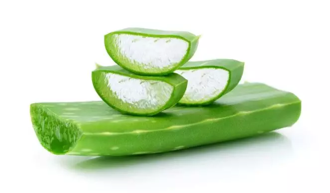 Trik mengurangi kerontokan pakai spray dari 1 jenis tanaman herbal Berbagai sumber