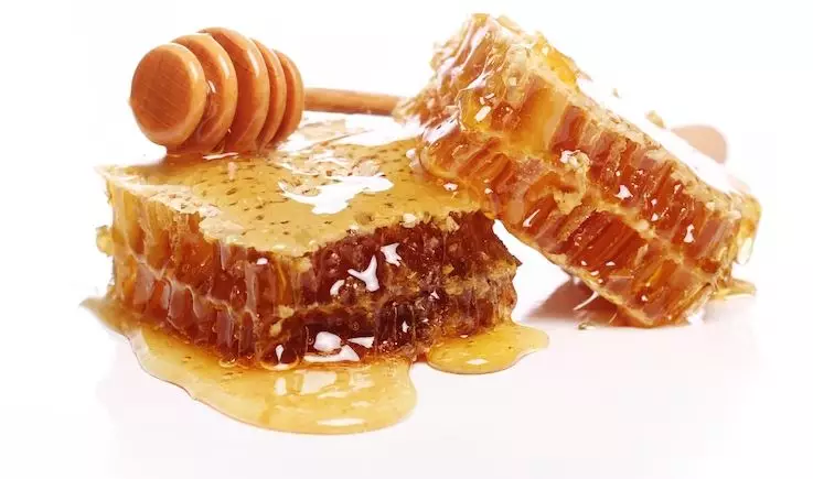 <img style= <img style=