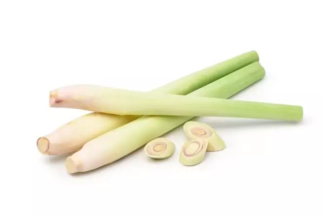 Atasi penuaan dini pada wajah dengan 1 daun penyedap Berbagai sumber