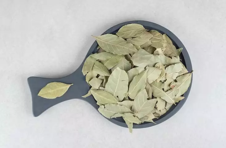 Kencangkan wajah kendur dengan 1 jenis daun penyedap Berbagai sumber Kencangkan wajah kendur dengan 1 jenis daun penyedap Berbagai sumber