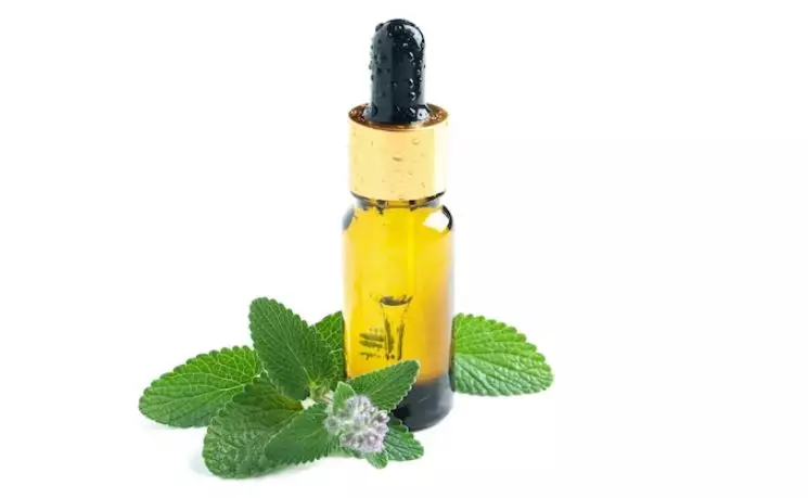 Segarkan napas dan gigi kuning dengan 1 minyak esensial Berbagai sumber