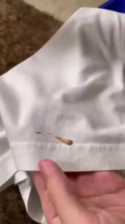 trik simpel hapus noda foundation berbagai sumber