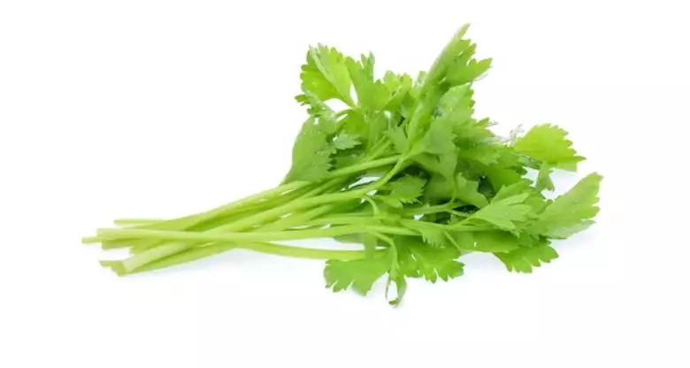 Kurangi rambut rontok berlebih pakai 1 jenis sayuran Berbagai sumber