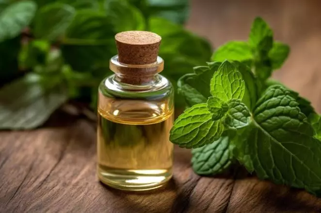 Napas segar dan gigi kuning bersih pakai 1 minyak esensial Berbagai sumber