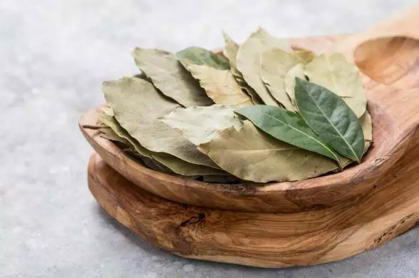 Kencangkan wajah kendur agar tampak awet muda daun salam Berbagai sumber Kencangkan wajah kendur agar tampak awet muda daun salam Berbagai sumber