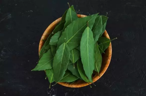 Atasi uban prematur dan rambut rontok pakai hair oil Berbagai sumber