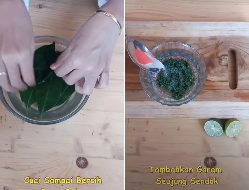 cara membersihkan karang gigi pakai daun salam © 2024 YouTube cara membersihkan karang gigi pakai daun salam © 2024 YouTube