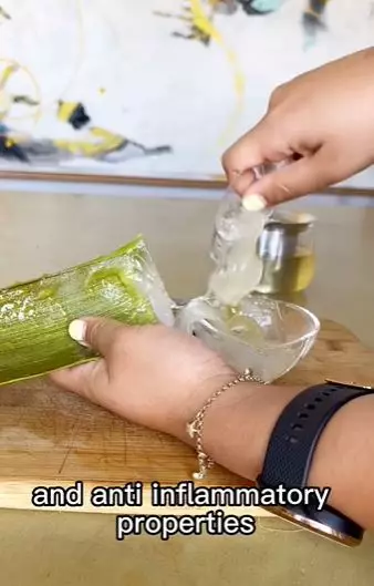 2 Bahan alami menunda kerutan dan wajah kendur TikTok