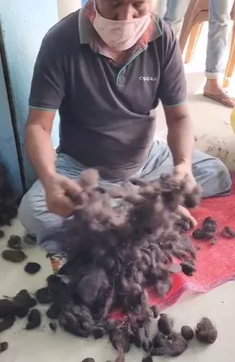 Pembuatan hair extension mirip sapu Berbagai sumber