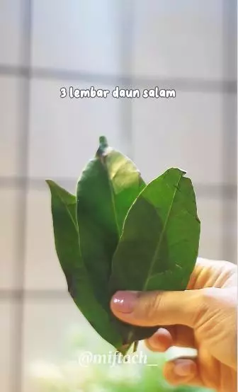 bikin hair tonic untuk atasi rambut rontok. berbagai sumber