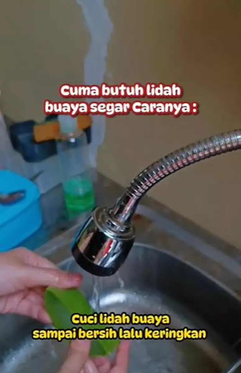 Lidah buaya pudarkan flek hitam TikTok Lidah buaya pudarkan flek hitam TikTok