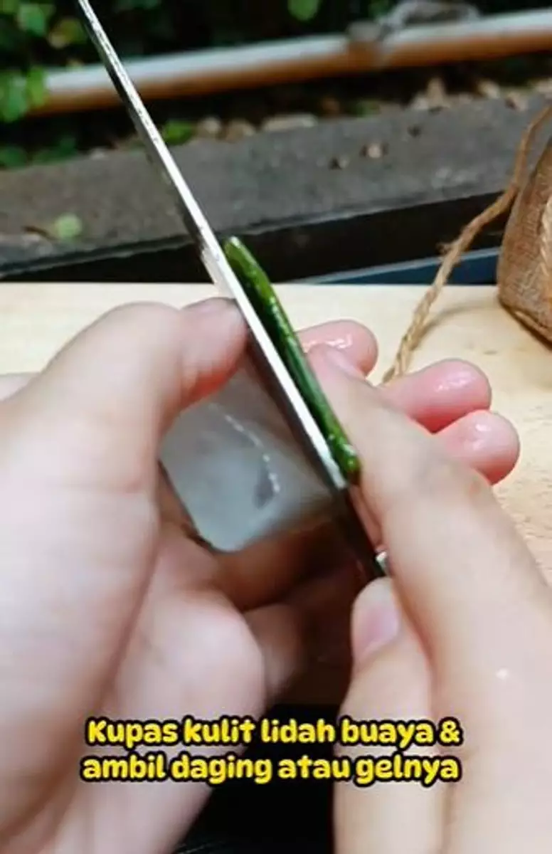 Lidah buaya pudarkan flek hitam TikTok Lidah buaya pudarkan flek hitam TikTok