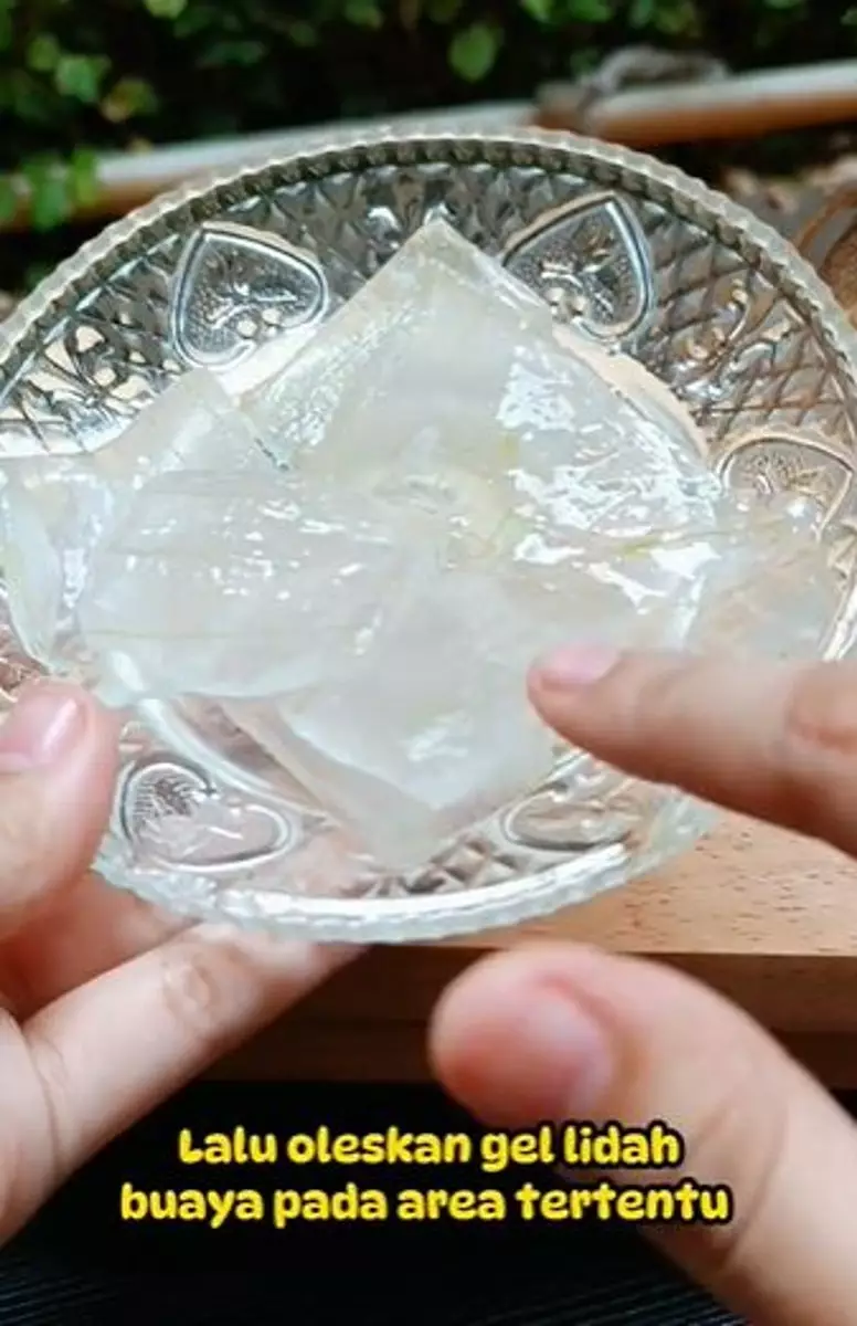 Lidah buaya pudarkan flek hitam TikTok Lidah buaya pudarkan flek hitam TikTok