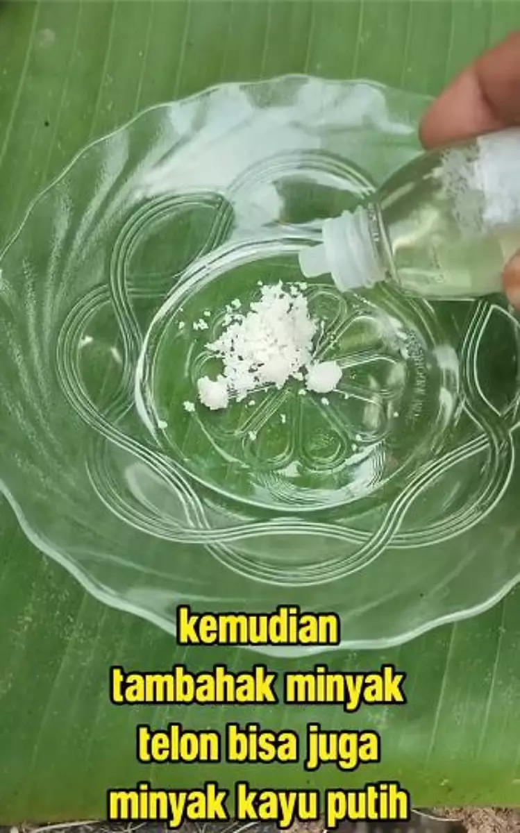 Kombinasi garam dan 1 produk bayi cerahkan ketiak Berbagai sumber