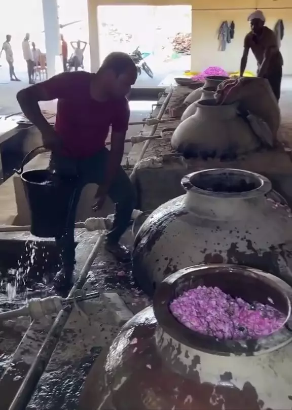 bikin rosewater berbagai sumber