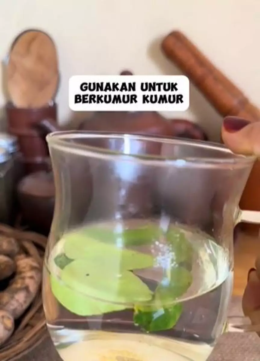 Daun jeruk bisa hilangkan bau mulut dan sakit gigi Berbagai sumber