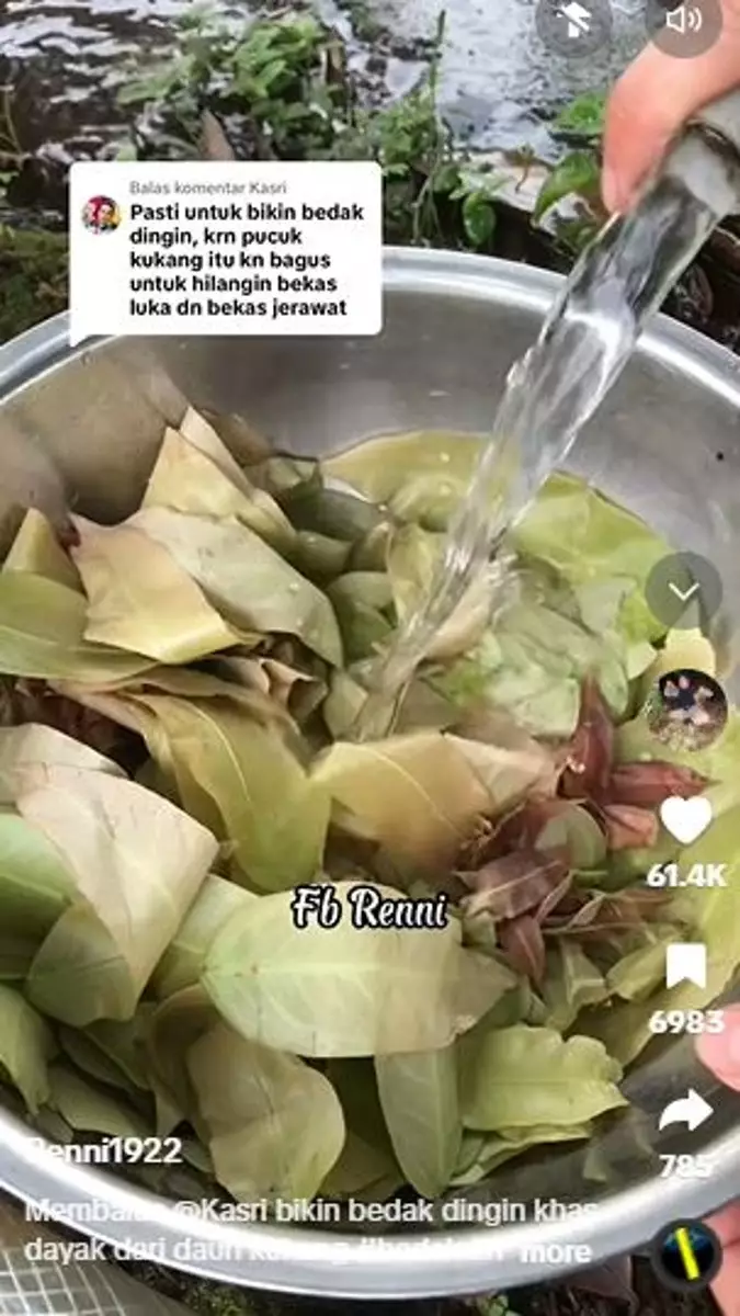 Trik bikin wajah mulus bebas jerawat pakai bedak dingin khas Dayak TikTok Trik bikin wajah mulus bebas jerawat pakai bedak dingin khas Dayak TikTok