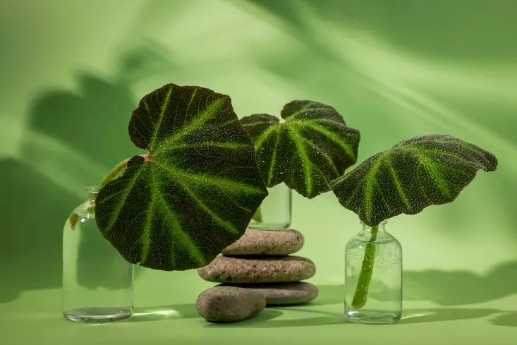 centella skincare © 2024 freepik.com centella skincare © 2024 freepik.com